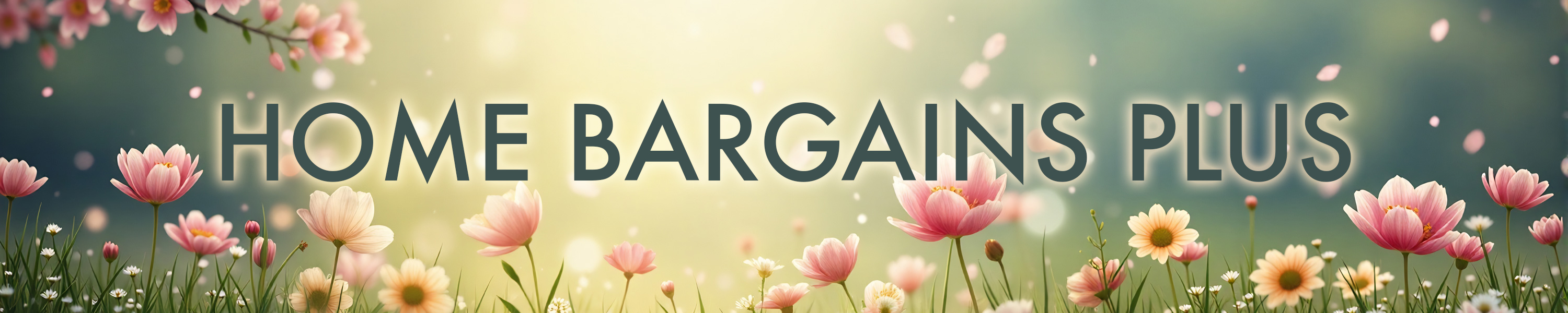 Elevate Every Occasion Effortlessly